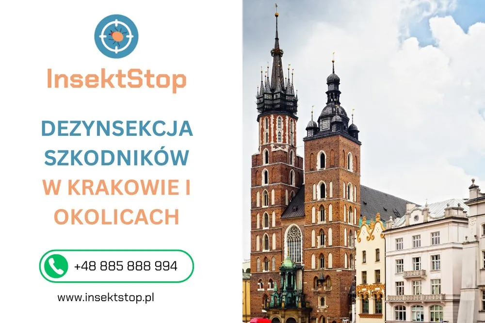 dezynsekcja szkodników w Krakowie